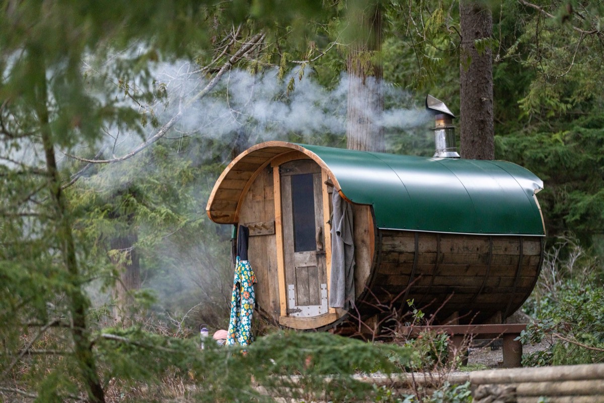 Steam rising from the wood-fired barrel sauna among the trees